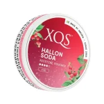 XQS Hallon Soda Strong - Image 2