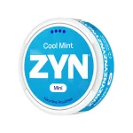 ZYN Cool Mint Mini 4 - Image 2